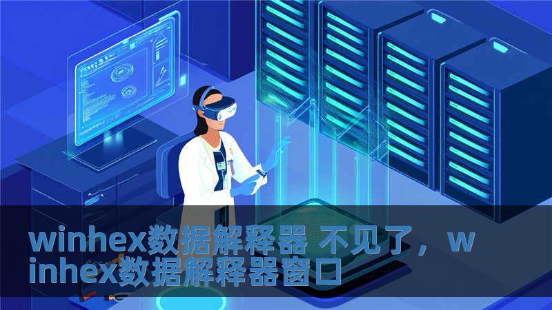 winhex數據解釋器 不見了，winhex數據解釋器窗口