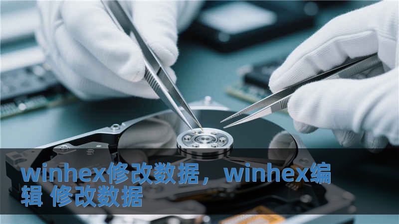 winhex修改數據，winhex編輯 修改數據