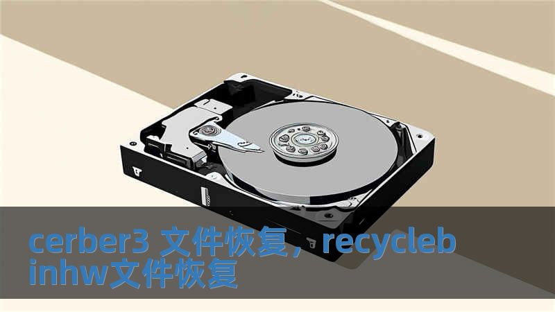 cerber3 文件恢復，recyclebinhw文件恢復