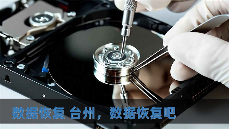 數據恢復 臺州，數據恢復吧