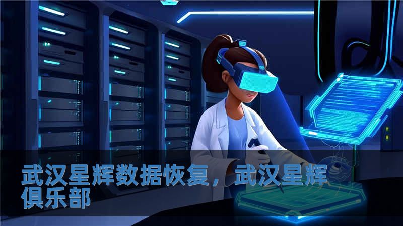 武漢星輝數(shù)據(jù)恢復(fù)，武漢星輝俱樂部