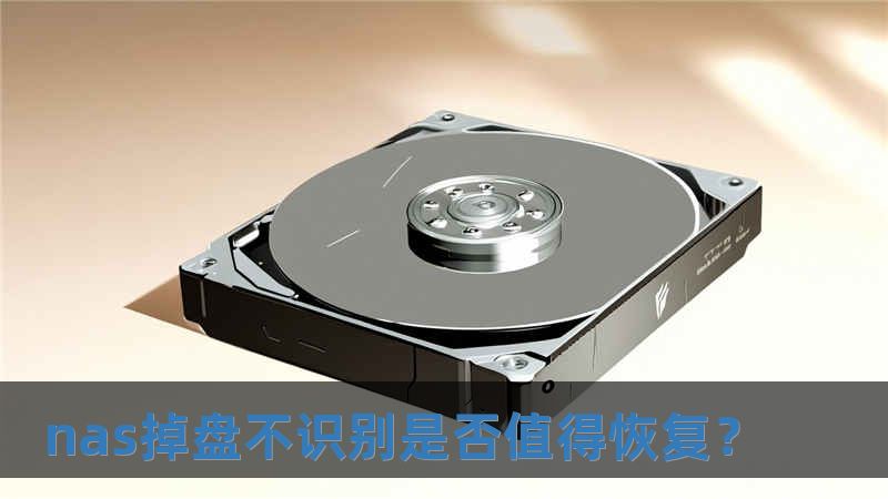 nas掉盤不識別是否值得恢復？