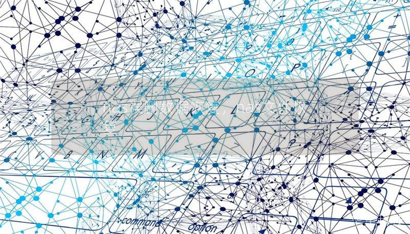 nas誤刪數據恢復,nas文件恢復 nas誤刪數據恢復,nas文件恢復