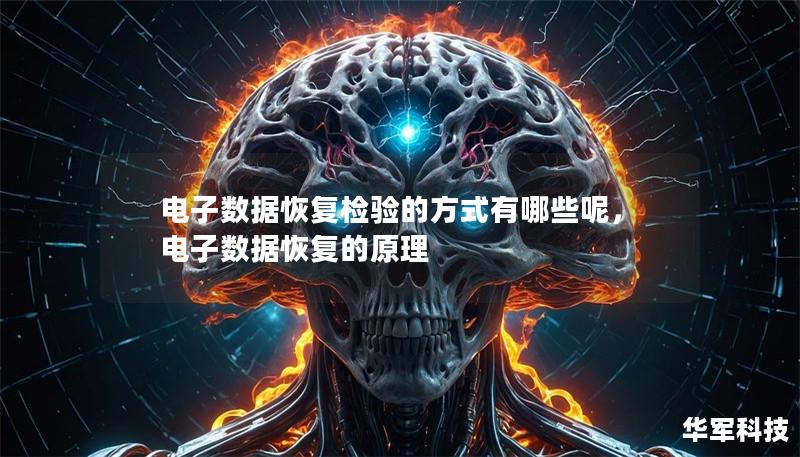 電子數據恢復檢驗的方式有哪些呢,電子數據恢復的原理 電子數據恢復檢驗的方式有哪些呢,電子數據恢復的原理