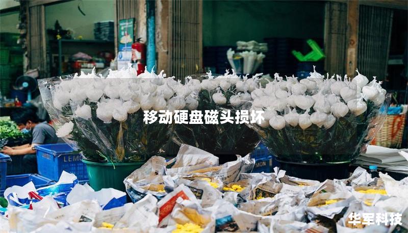 移動(dòng)硬盤磁頭損壞 移動(dòng)硬盤磁頭損壞