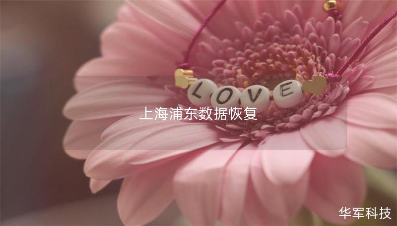 上海浦東數據恢復 上海浦東數據恢復