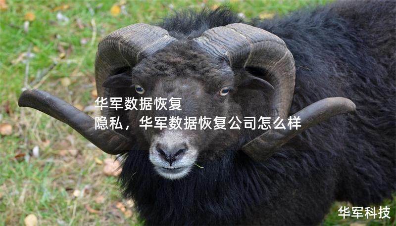 技王數據恢復 隱私,技王數據恢復公司怎么樣 技王數據恢復 隱私,技王數據恢復公司怎么樣